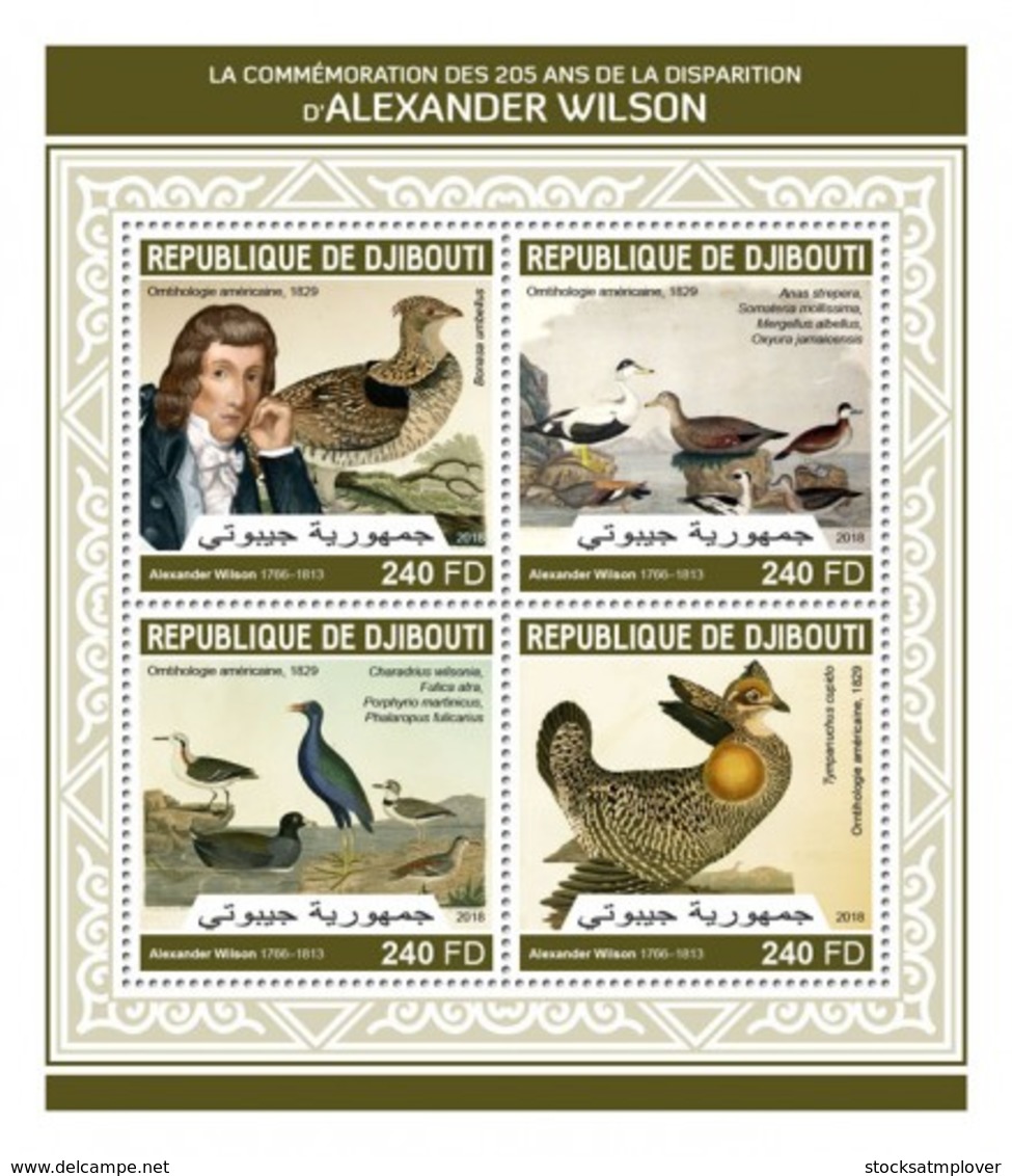 Djbouti 2018 Birds  Alexander Wilson  S201804 - Djibouti (1977-...)