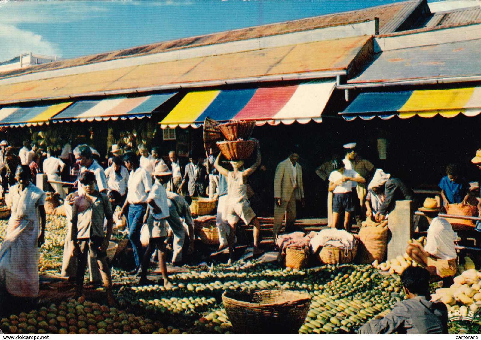 Ile Maurice,mauritius,ex Ile De France,océan Indien,archipel Des Mascareignes,prés De La Réunion,le Marché Aux Légumes - Autres & Non Classés