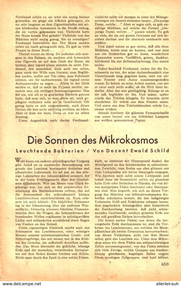 Die Sonnen Des Mikrokosmos (leuchtende Bakterien)  / Artikel, Entnommen Aus Zeitschrift /1942 - Bücherpakete