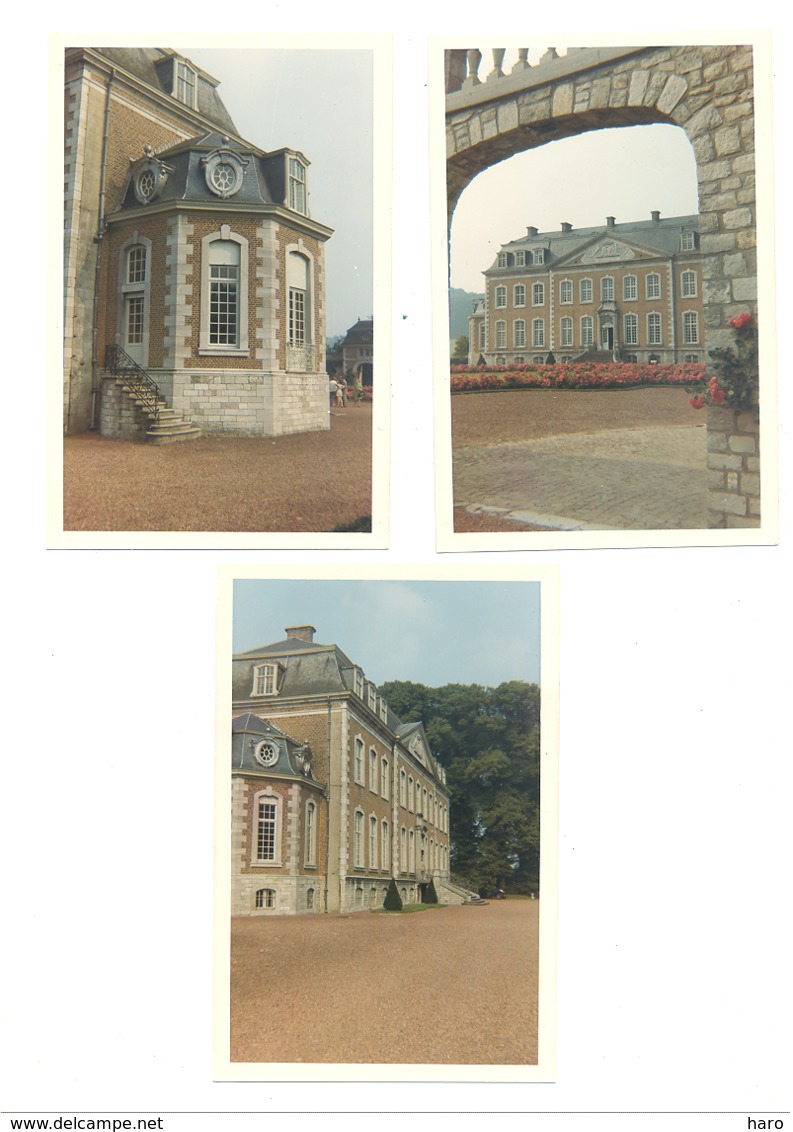 1971 - Année Des Châteaux En Belgique - SOIRON - Lot De 3 Photos (9 X 13 Cm) - Places