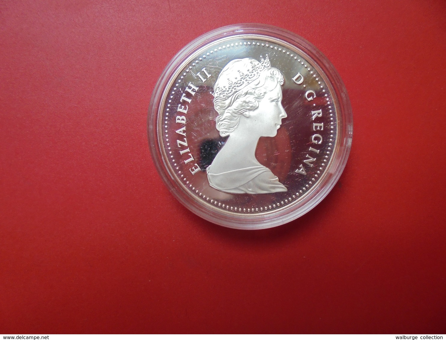 CANADA 1$ 1981 ARGENT QUALITE "PROOF" - Canada