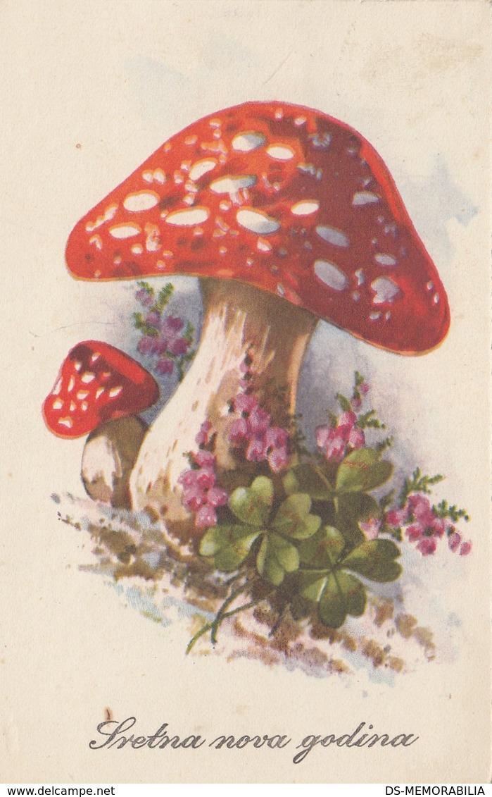 Mushrooms Champignons Clover 1955 - Paddestoelen