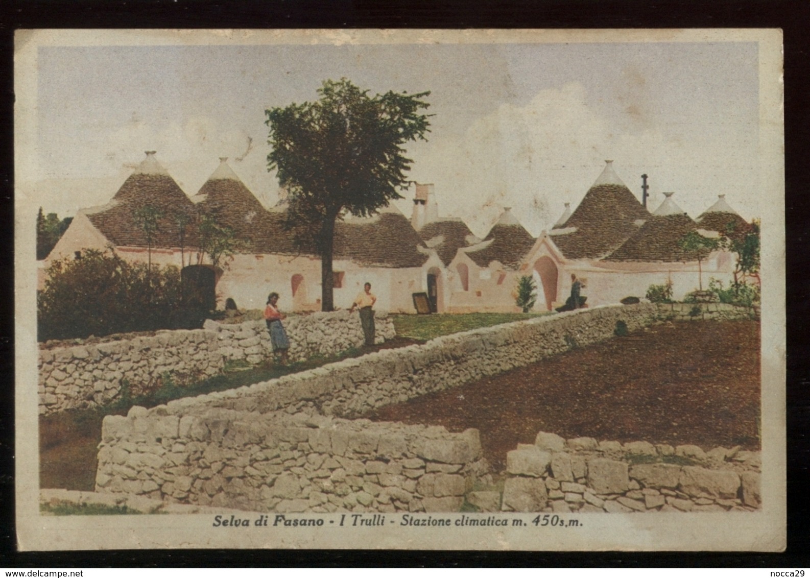 SELVA DI FASANO (BRINDISI) 1946 STAZIONE CLIMATICA CON TRULLI - FORMATO GRANDE - Brindisi