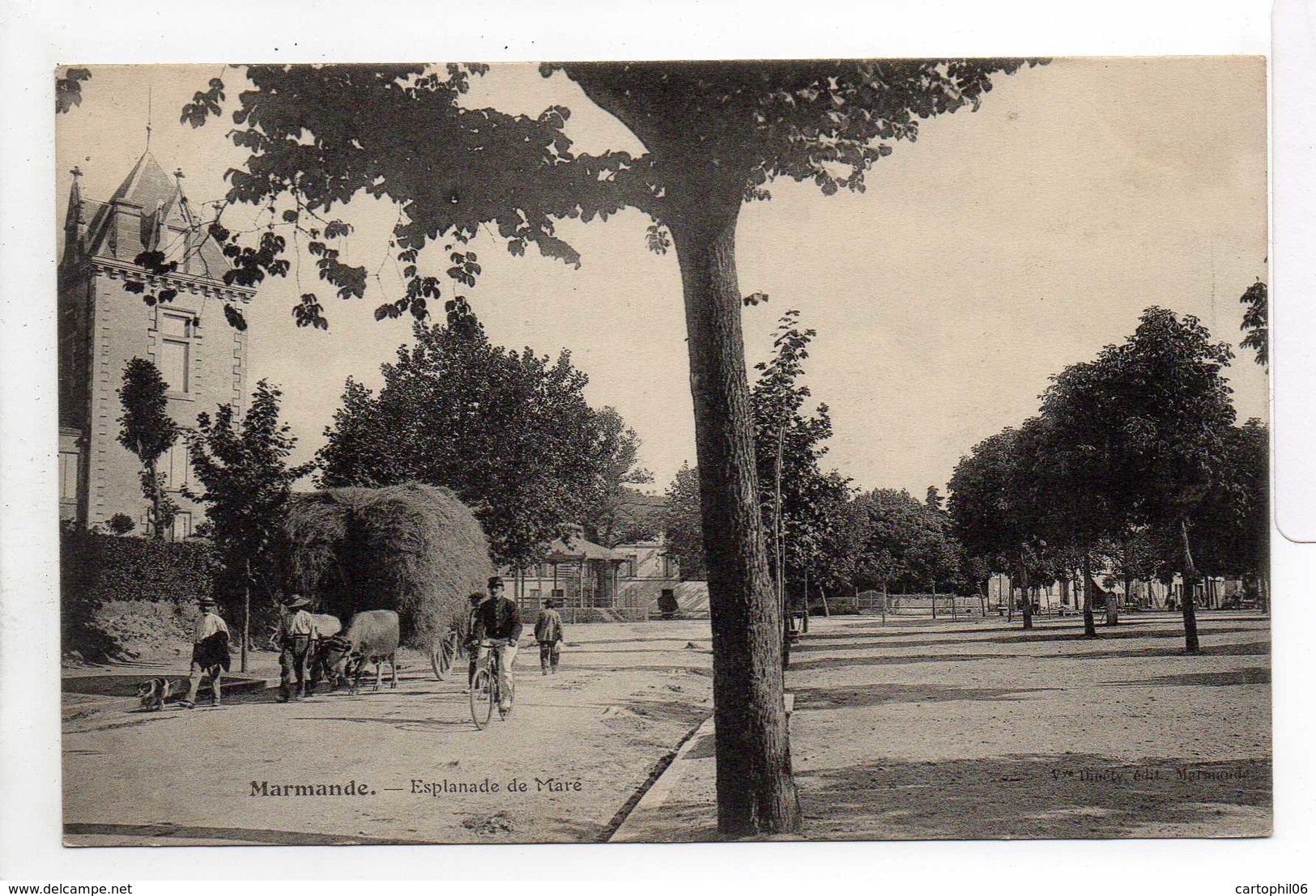 - CPA MARMANDE (47) - Esplanade De Maré 1906 (avec Personnages Et Attelage De Boeufs) - Edition Vve Innéty - - Marmande