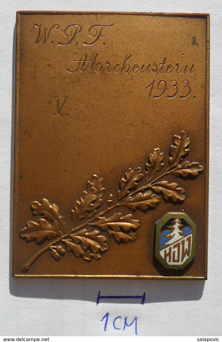 W.P.F. Morchenstein 1933 WINTER SPORT SKII SKIING, ALPINISM, MOUNTAIN CLIMBING PLAQUE   PLIM - Wintersport