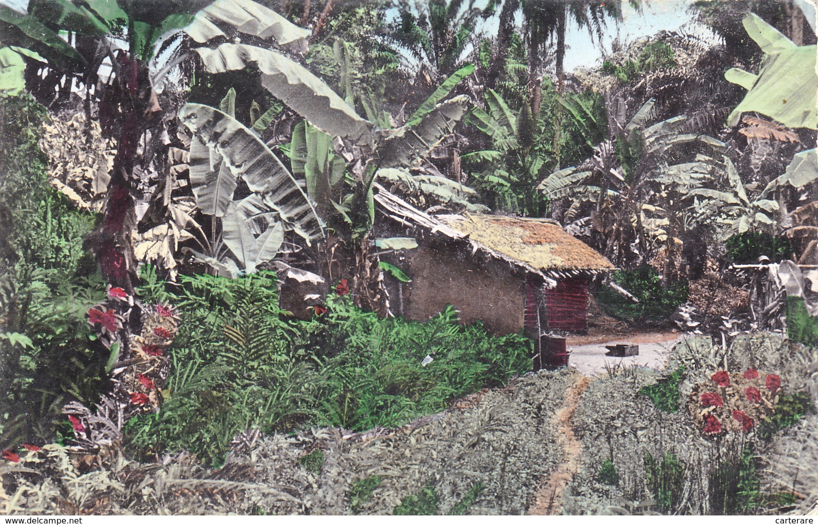 AFRIQUE,AFRICA,COTE D'IVOIRE ,ABIDJAN,brousse,habitation ,cabane,case,carte Photo - Elfenbeinküste