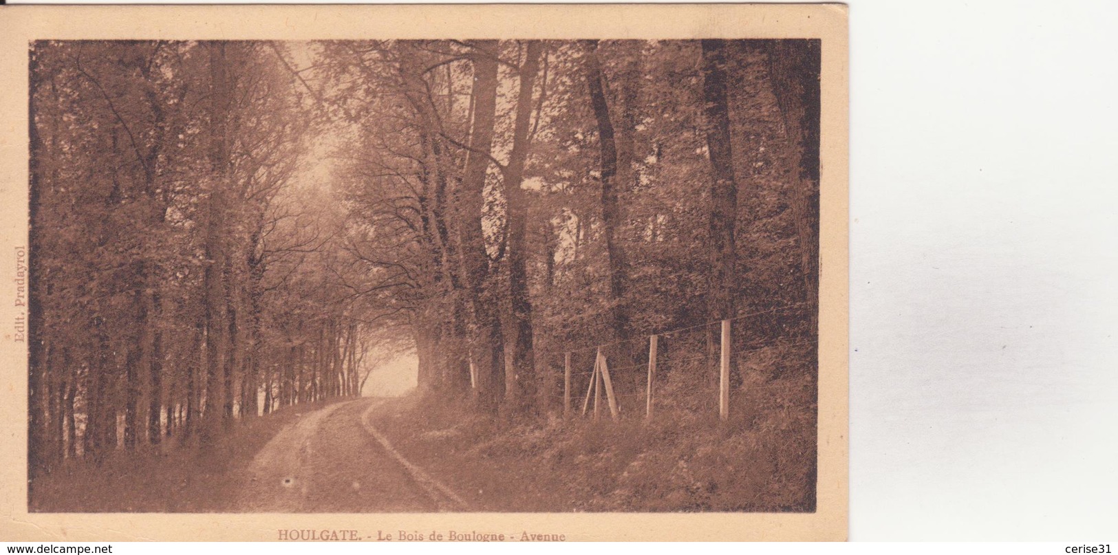 CPA - HOULGATE - Le Bois De Boulogne Avenue - Houlgate