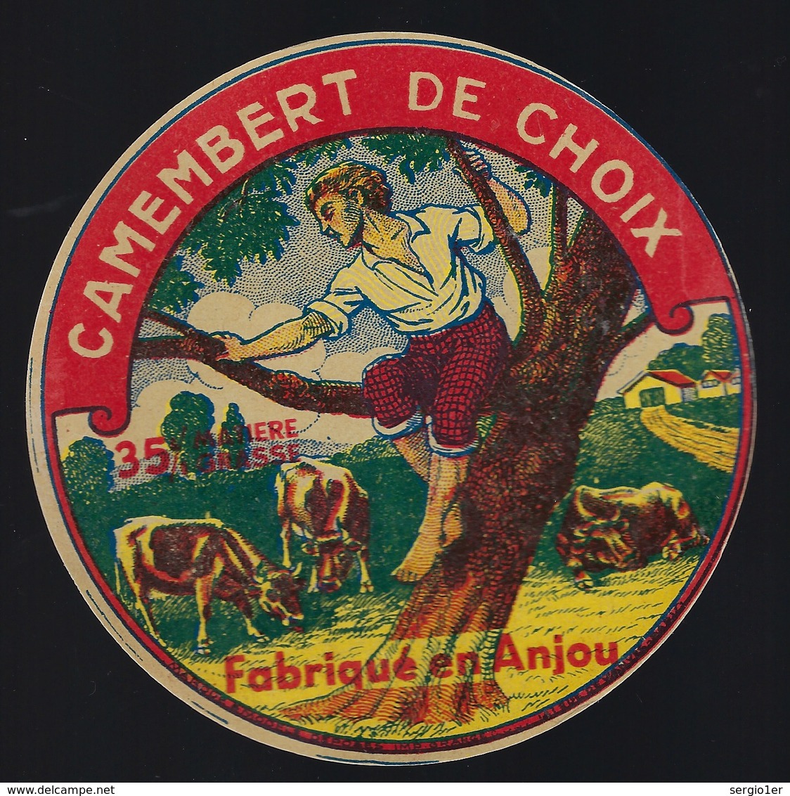 Etiquette Fromage Camembert De Choix Fabriqué En Anjou 35%mg "homme Perché Arbre Vaches" - Fromage