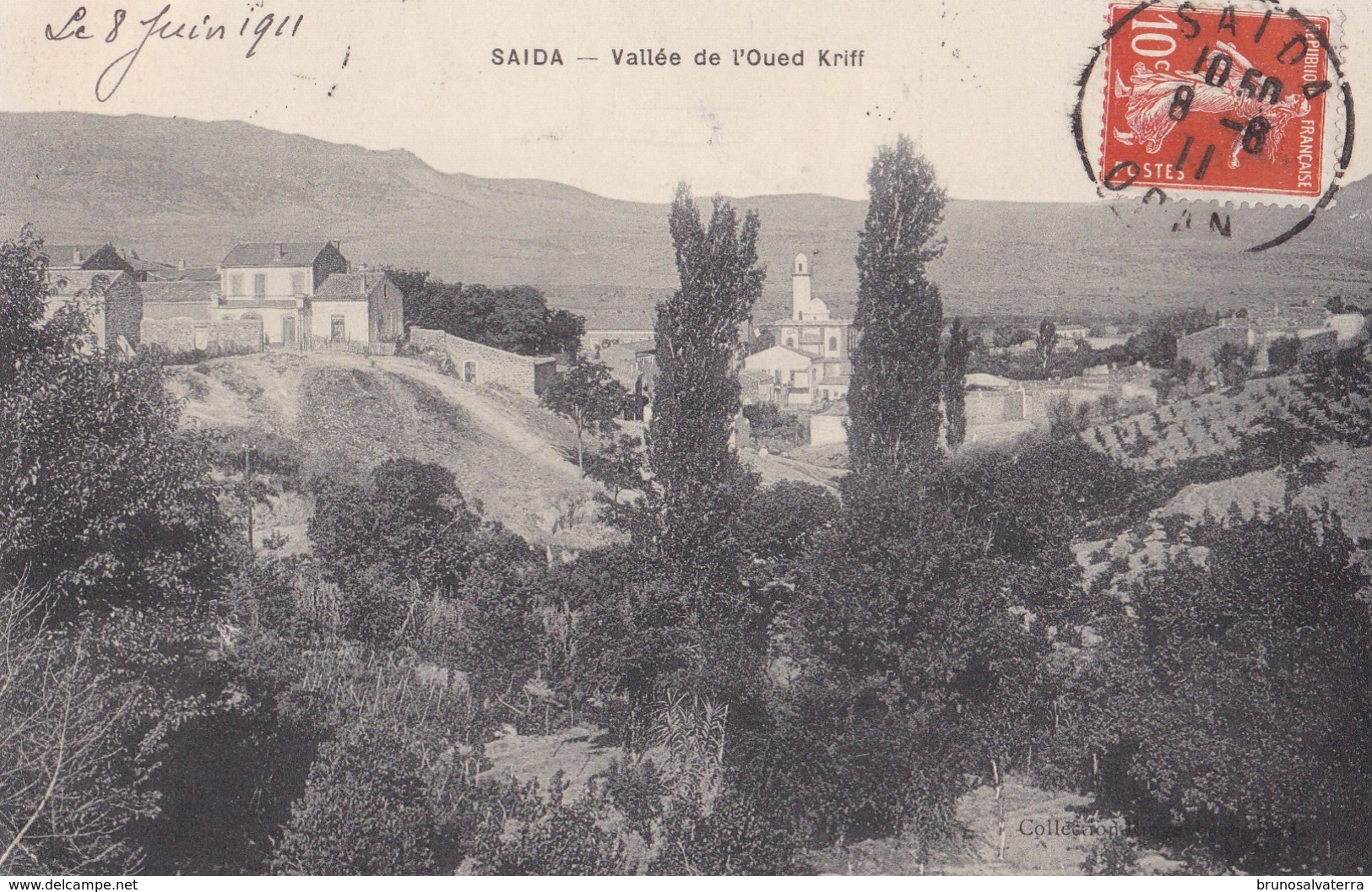 SAIDA - Vallée De L'Oued Kriff - Saïda