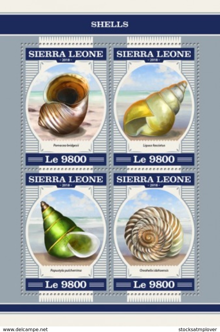 Sierra Leone 2018  Shells  S201804 - Sierra Leone (1961-...)