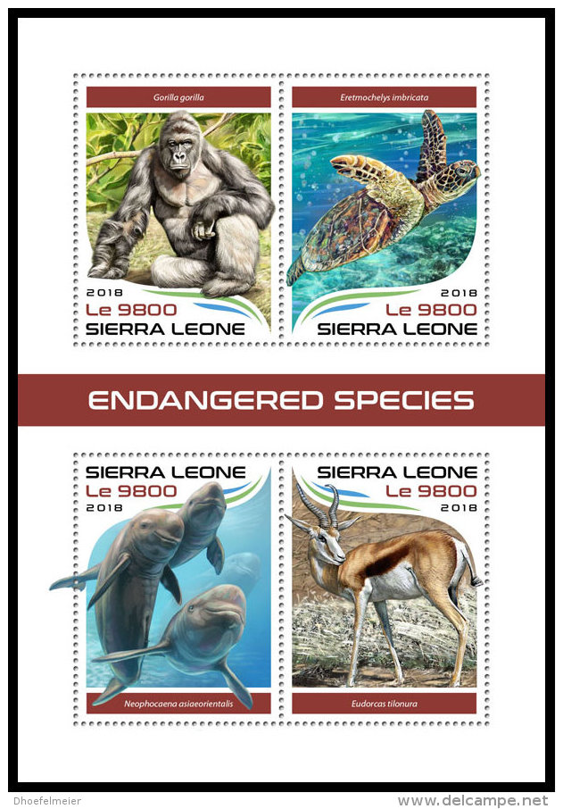 SIERRA LEONE 2018 MNH** Gorilla Monkey Endangered Species M/S - IMPERFORATED - DH1819 - Gorilles