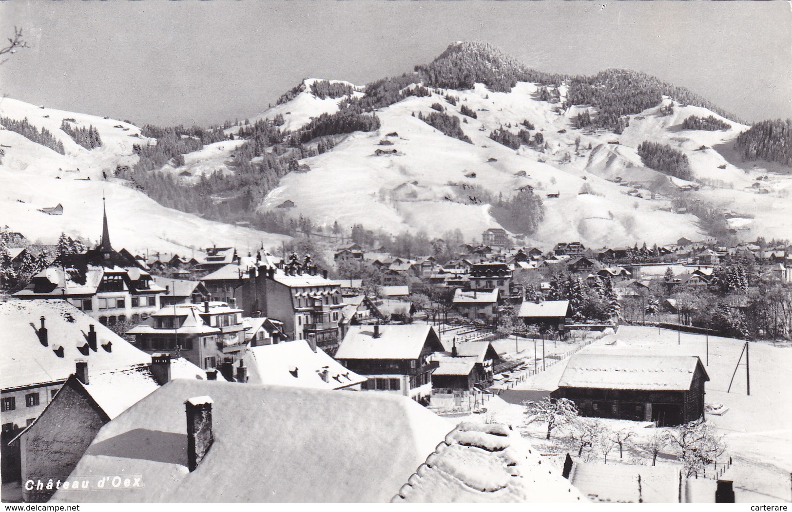 CARTE PHOTO,SUISSE,SCHWEIZ,SVIZZERA,SWITZERLAND,SWISS,VAUD,RIVIERA PAYS ENHAUT,CHATEAU D'OEX,VACHE,ETE,VALLEE  LA SARIN - Sonstige & Ohne Zuordnung