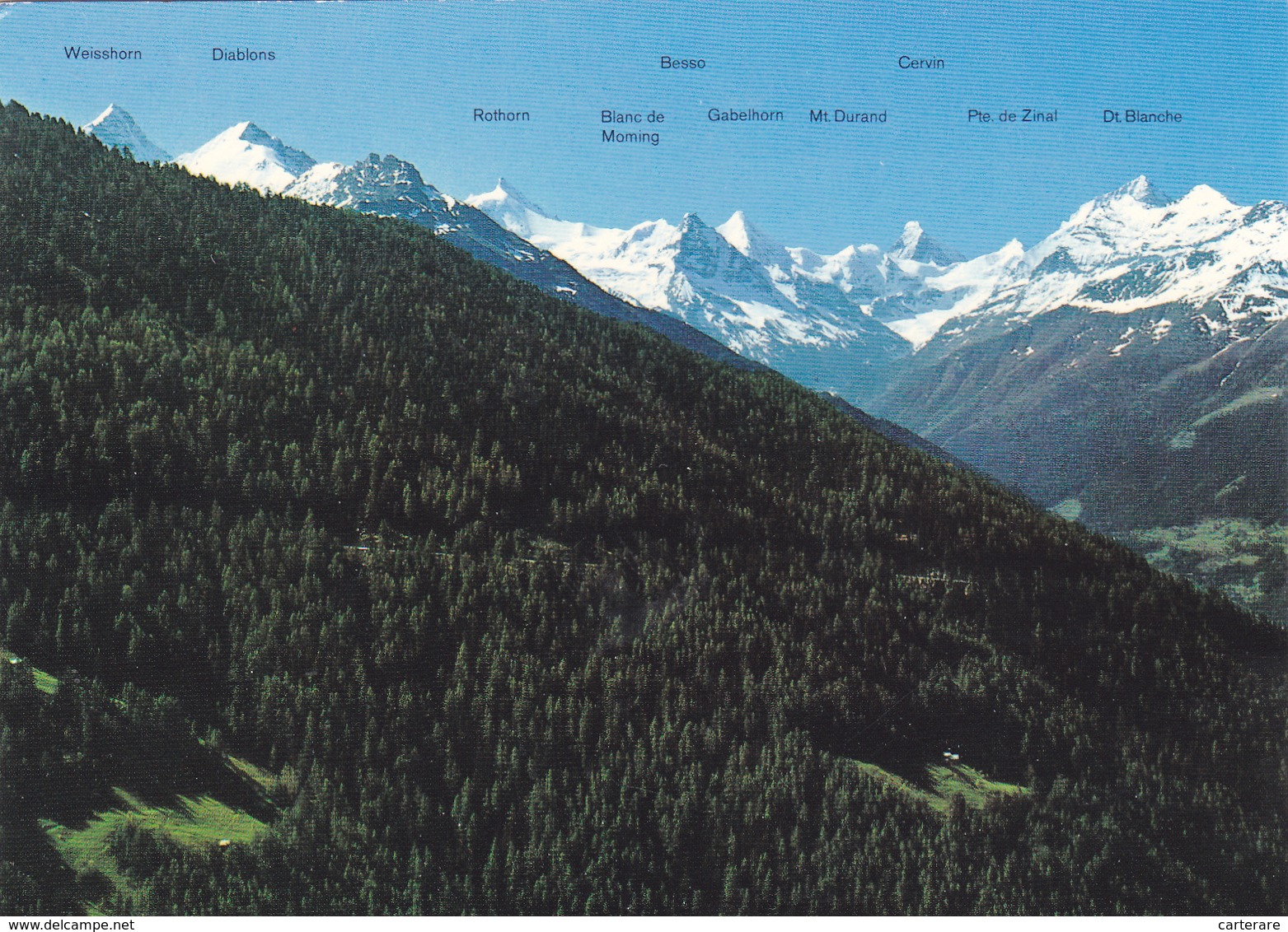 SUISSE,HELVETIA,SWISS,SWITZERLAND,SVIZZERA,VALAIS,VAL ANNIVIERS,FORET,RELIEF - Anniviers