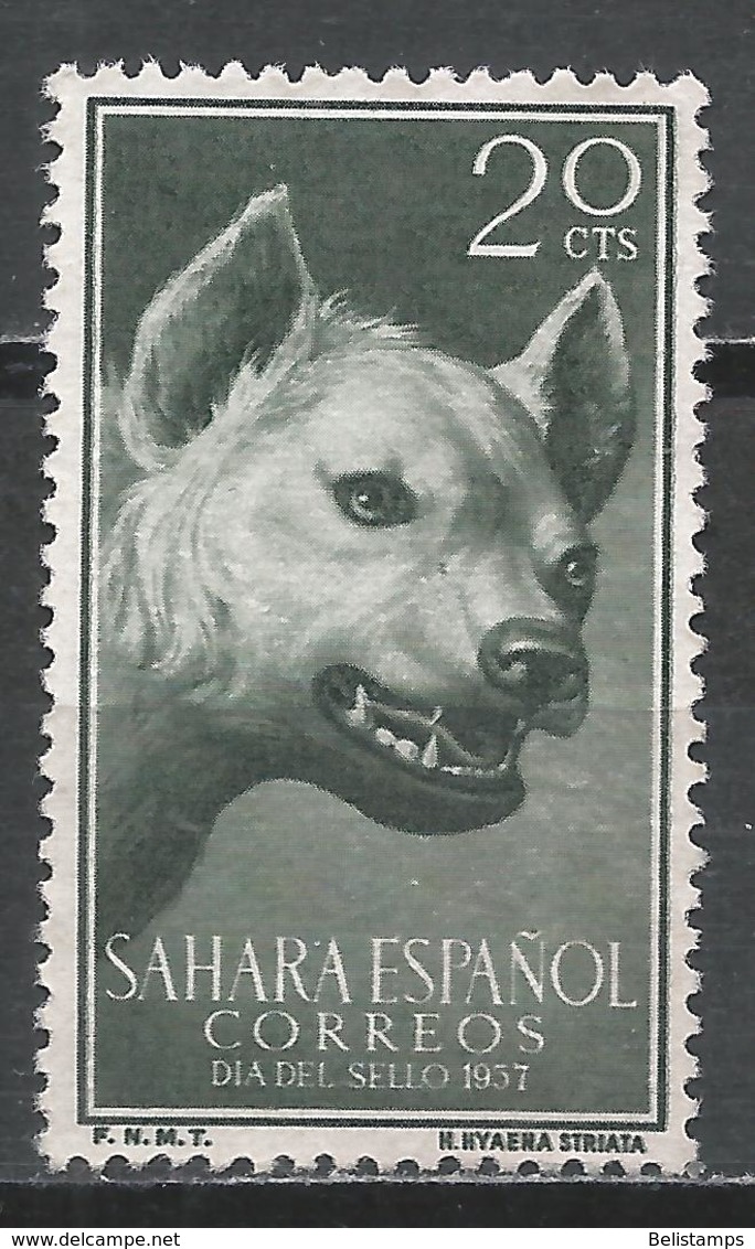 Spanish Sahara 1957. Scott #88 (M) Stripped Hyena - Sahara Espagnol