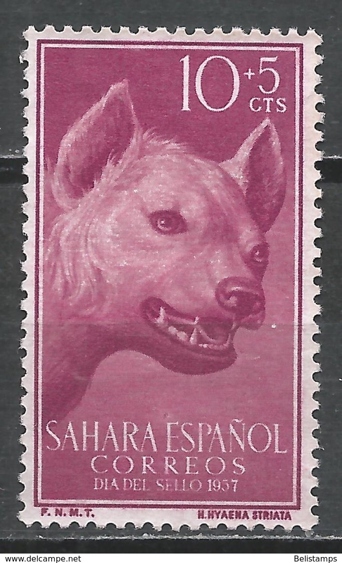 Spanish Sahara 1957. Scott #B43 (M) Animal, Stripped Hyena - Spanish Sahara