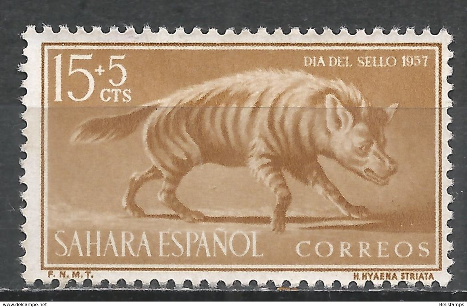 Spanish Sahara 1957. Scott #B44 (M) Animal, Stripped Hyena * - Sahara Espagnol