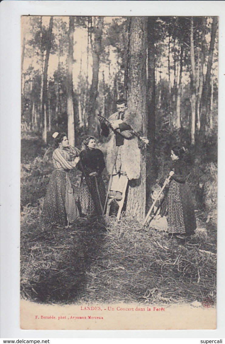 RT31.197    LANDES .UN CONCERT DANS LA FORÊT .F.BERNEDE - Music And Musicians