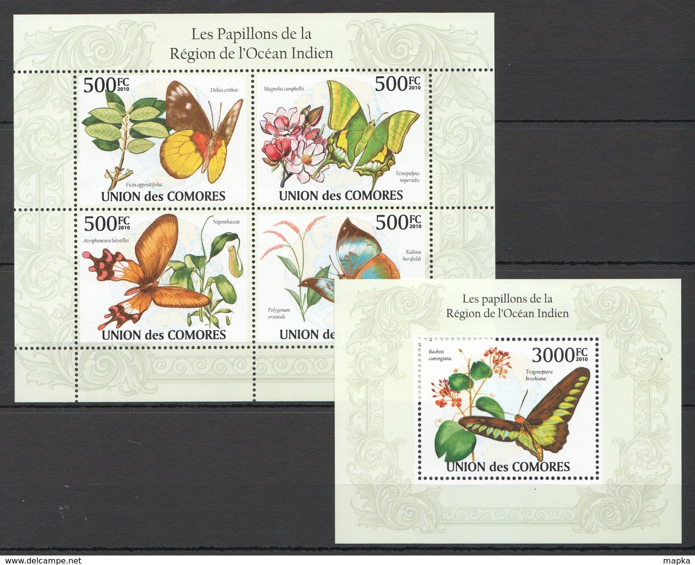 X336 2010 UNION DES COMORES BUTTERFLIES PAPILLONS DE L'OCEAN INDIEN 1KB+1BL MNH - Schmetterlinge