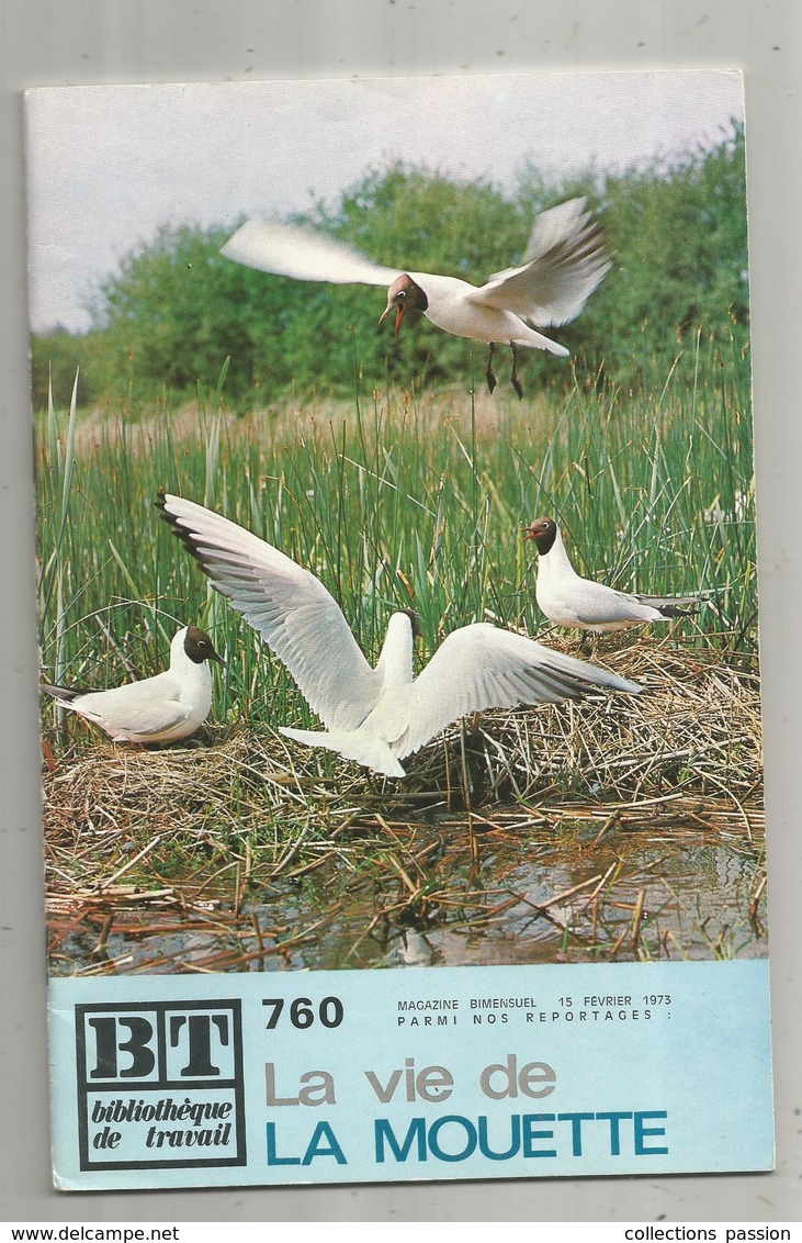 Bibliothéque De Travail, BT , N° 760, 1973, ANIMAUX , LA MOUETTE  , 40 Pages , Frais Fr 1.95 E - Animales