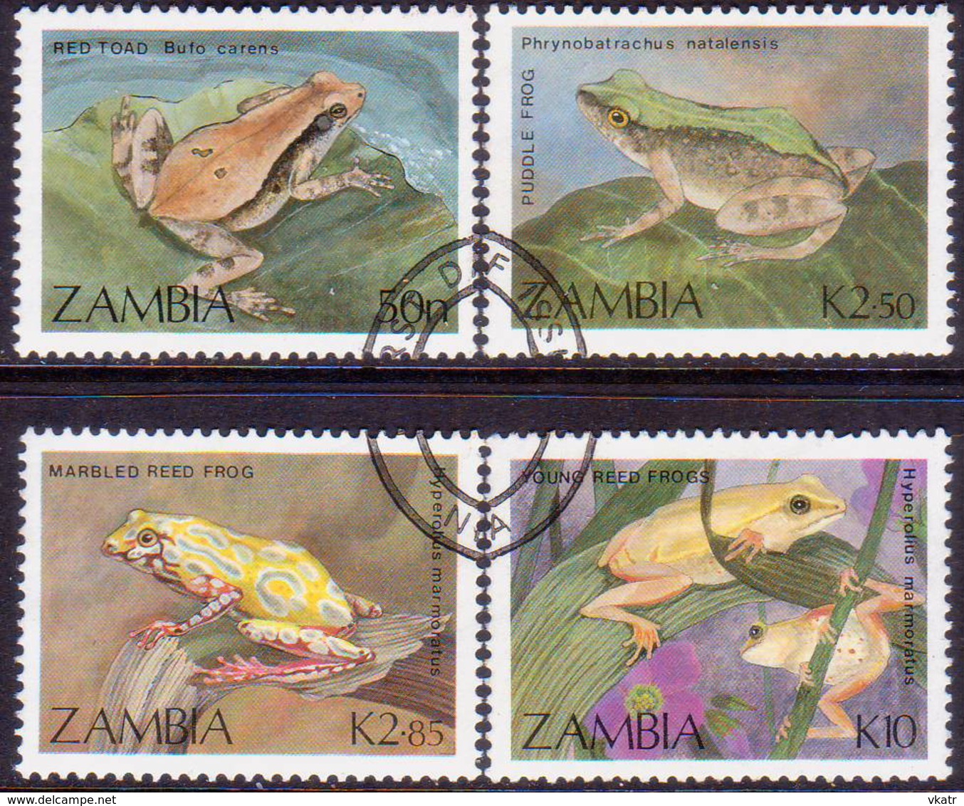 ZAMBIA 1989 SG #567-70 Compl.set Used Frogs And Toads - Zambia (1965-...)