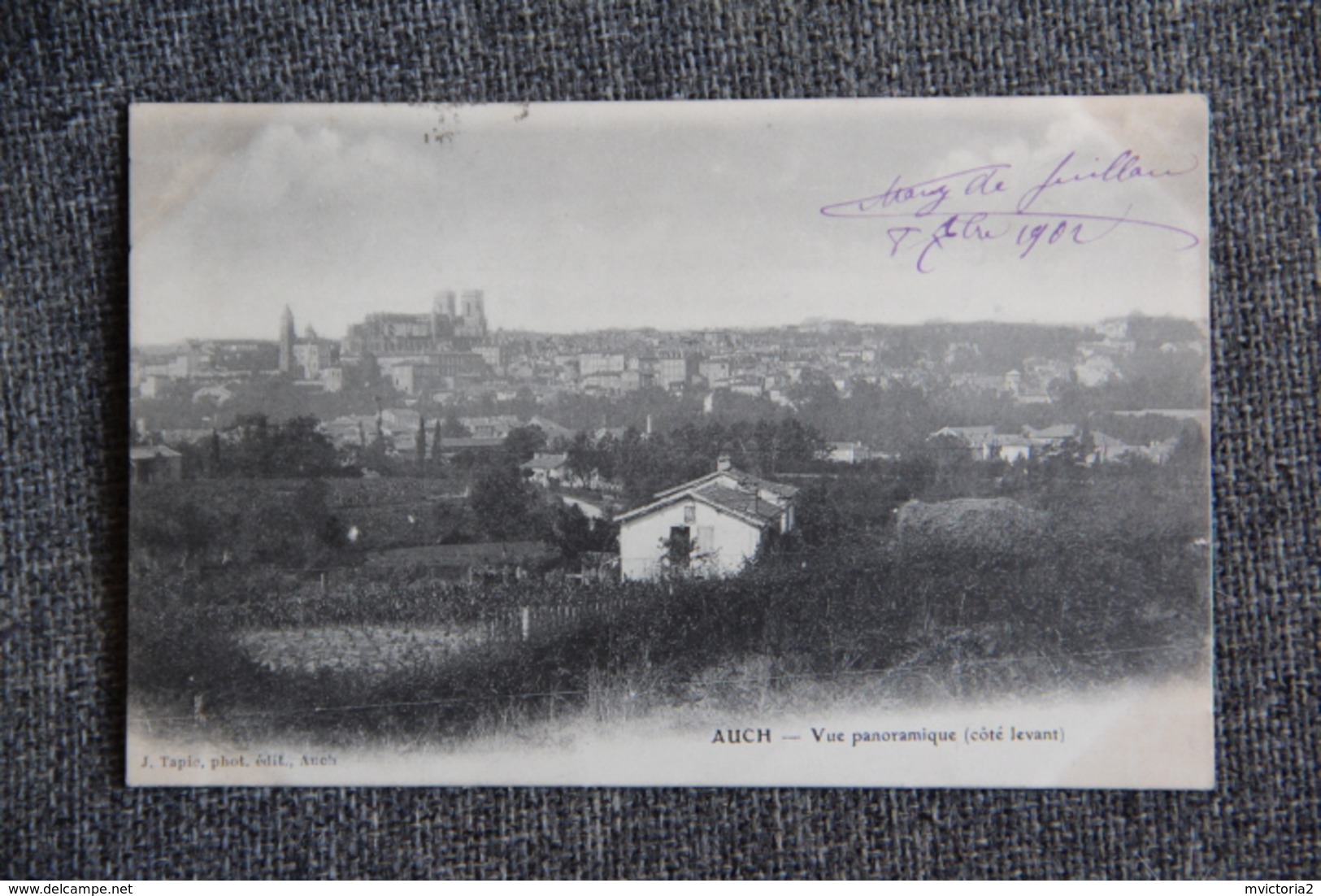 AUCH - Vue Panoramique, Côté Levant - Auch