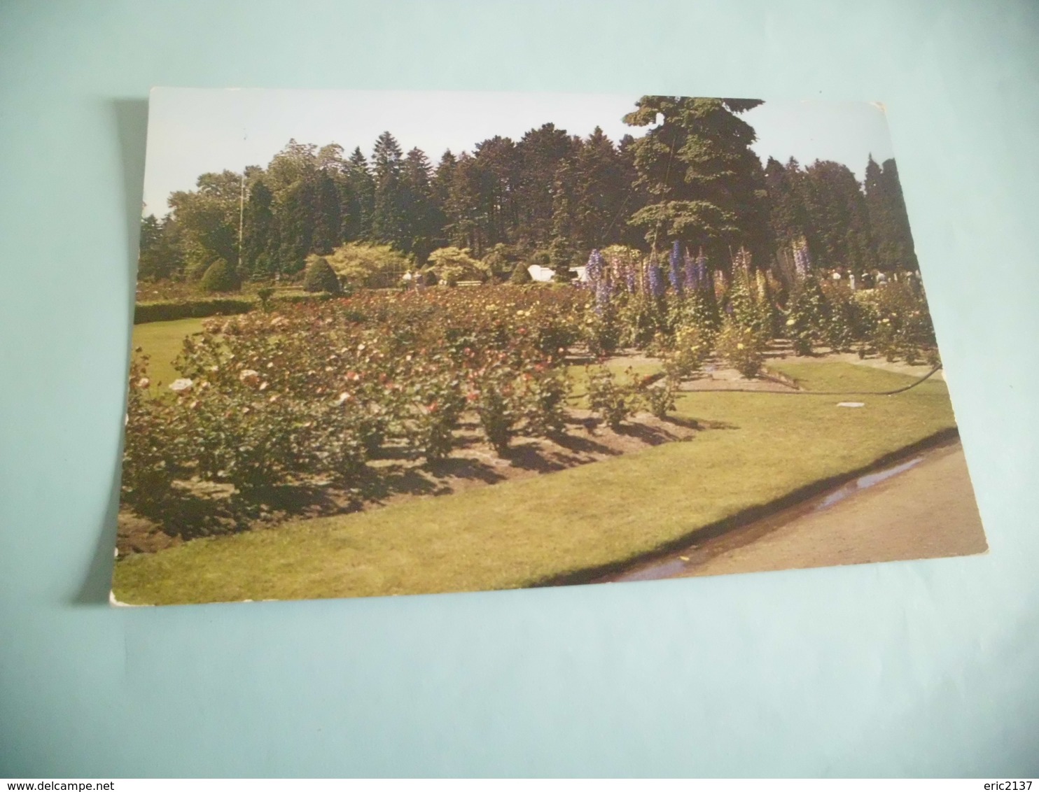 FORMAL GARDENS ...WOODLAND PARK - Seattle