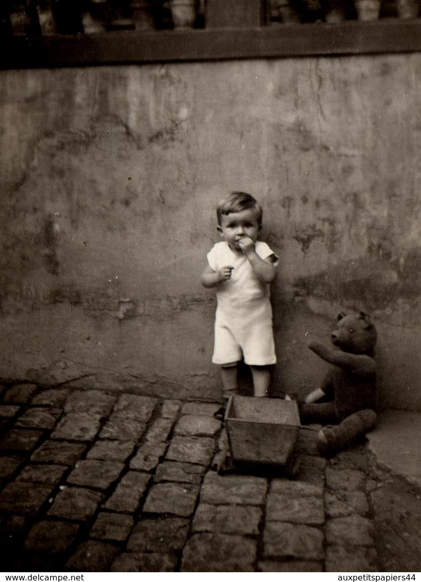 Photo Originale Jeu & Jouet - Portrait D'un Gamin, De Sa Remorque Et De Son Ours En Peluche Articulé Au Jardin 1930/40 - Objets