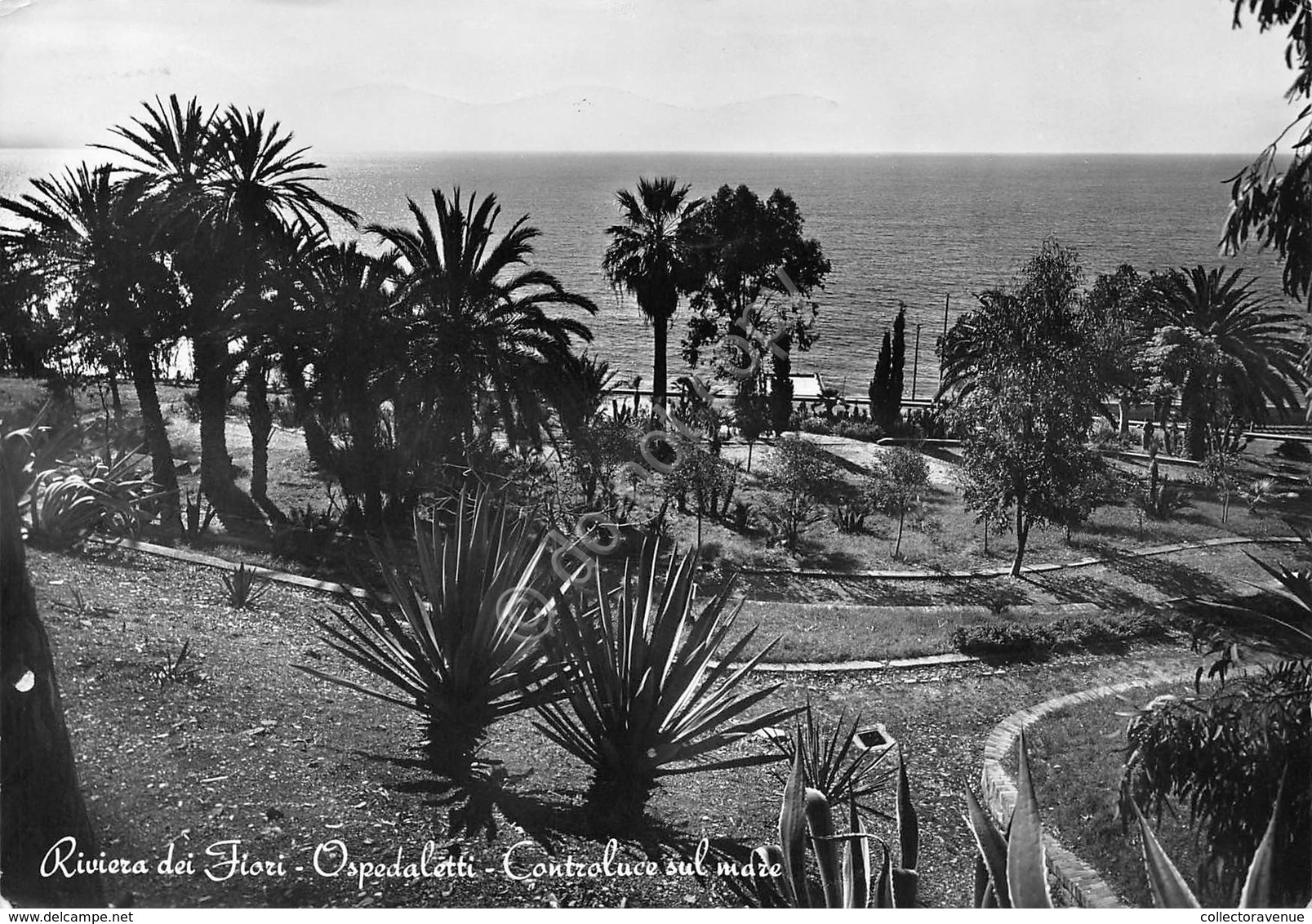 Cartolina Ospedaletti Panorama Sul Mare 1959 (Imperia) - Imperia