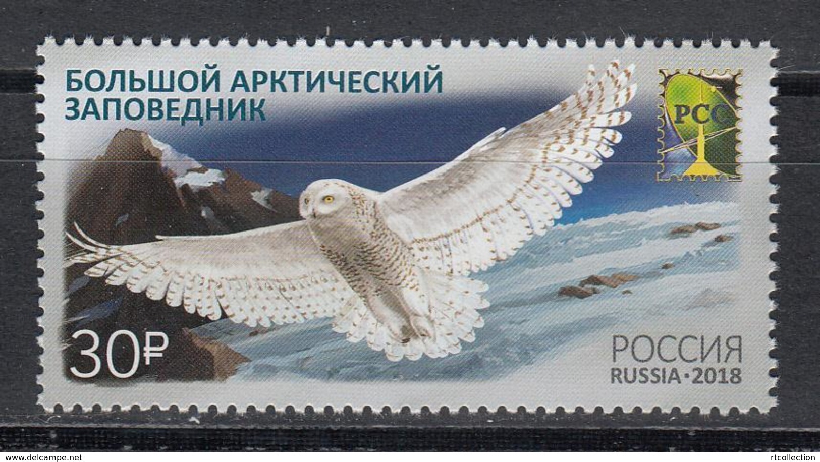 Russia 2018 - One Joint RCC Issue Nature Reserves Bubo Scandiacus Owls Birds Animals Fauna Owl Bird Stamps MNH Mi 2538 - Owls