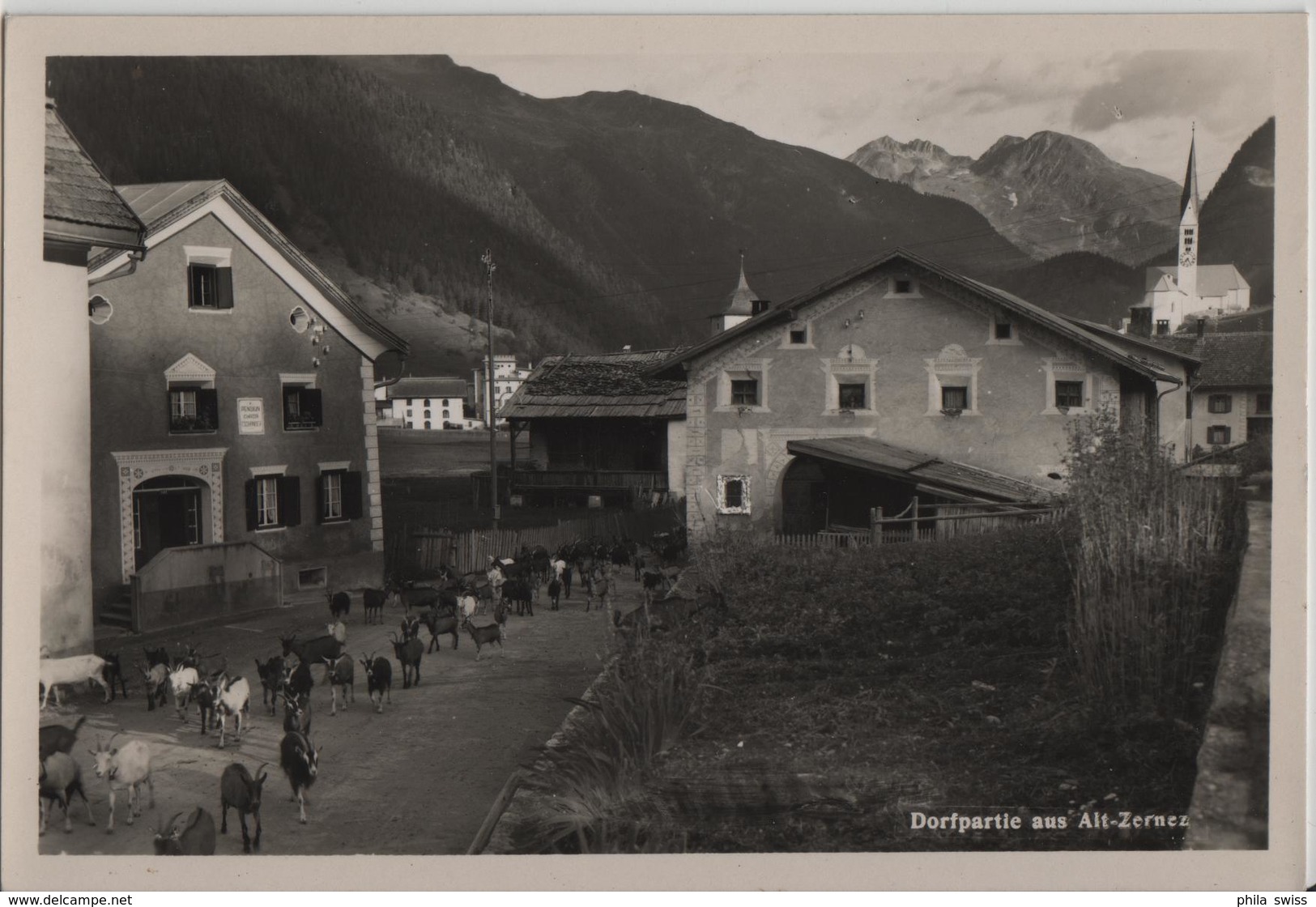 Dorfpartie Aus Alt-Zernez - Ziegen-Herde, Chevres Goat - Photo: P. Grass - Zernez