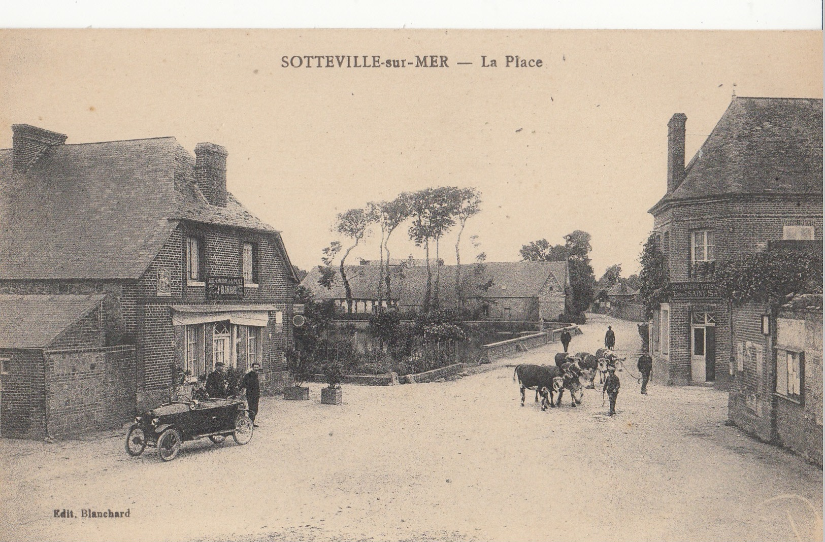 CARTE POSTALE DE SOTTEVILLE SUR MER - Autres & Non Classés