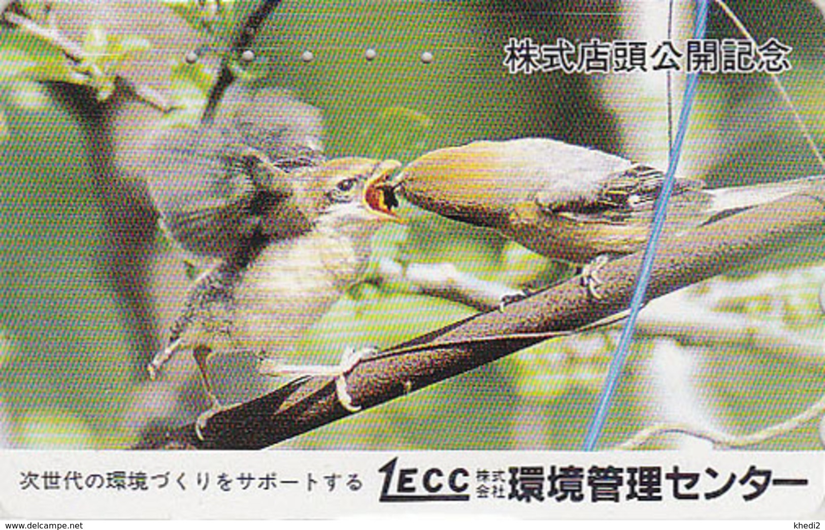 Télécarte Japon / 110-011 - Animal - OISEAU Au Nid - SONG BIRD Feeding Japan Phonecard - BE 4480 - Passereaux