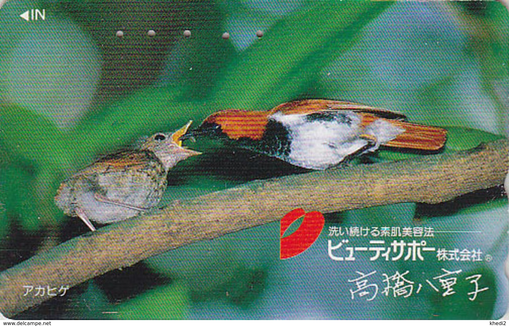Télécarte Japon / 110-011 - Animal - OISEAU Au Nid - SONG BIRD Feeding Japan Phonecard - BE 4481 - Pájaros Cantores (Passeri)