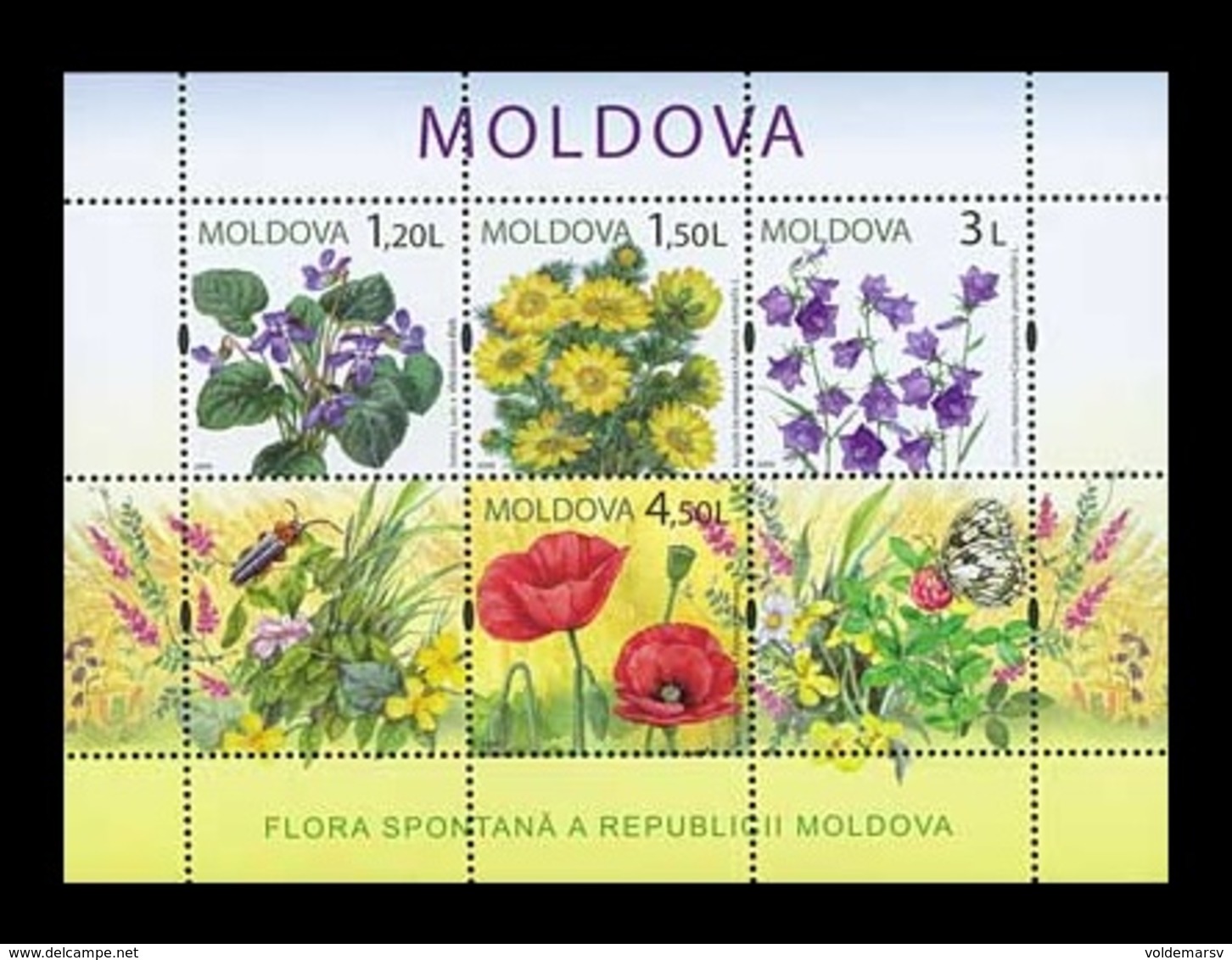 Moldova 2009 Mih. 655/58 (Bl.47) Flora. Meadow Flowers MNH ** - Moldavie