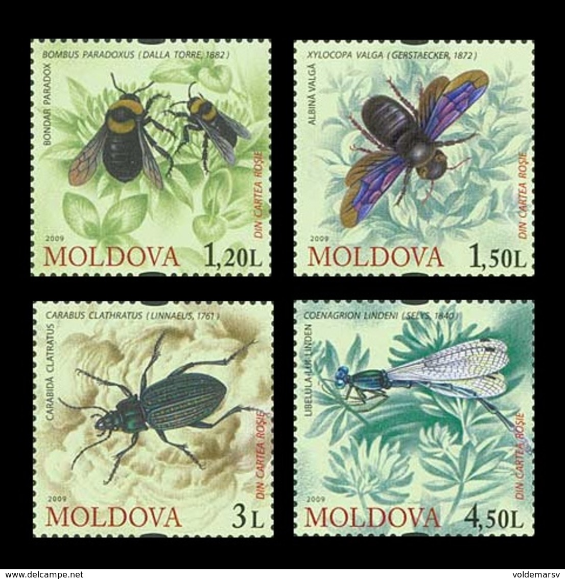 Moldova 2009 Mih. 659/62 Fauna. Insects MNH ** - Moldavie