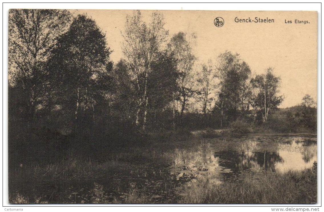 Genck - Staelen - Les Etangs - Genk