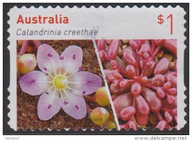 AUSTRALIA-DIE-CUT-USED 2017 $1.00  Australian Succulents - Calandrinia Creethae - Used Stamps