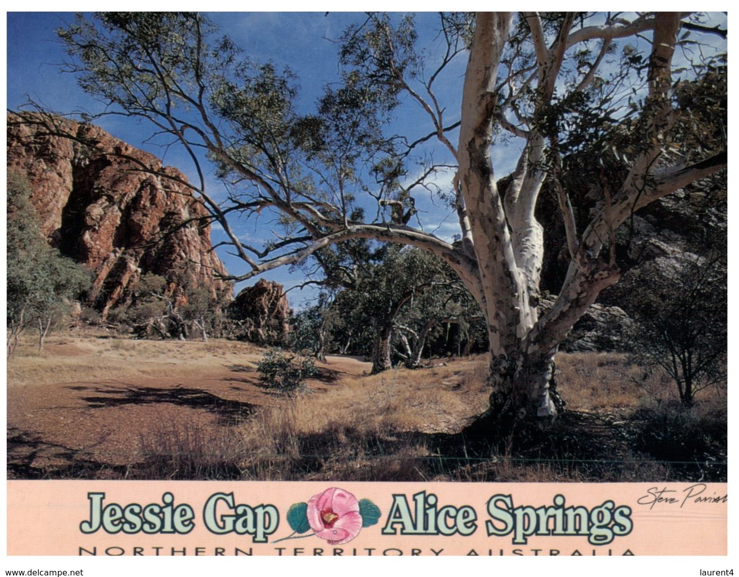 (348) Australia - NT - Jessie Gap - Alice Springs