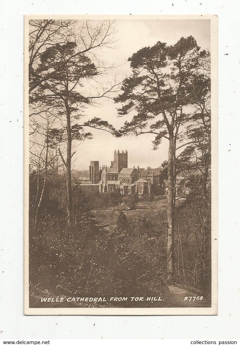 Cp , Angleterre , WELLS Cathedral From TOR HILL , Vierge , Ed. SEPIATYPE VALENTINE - Wells