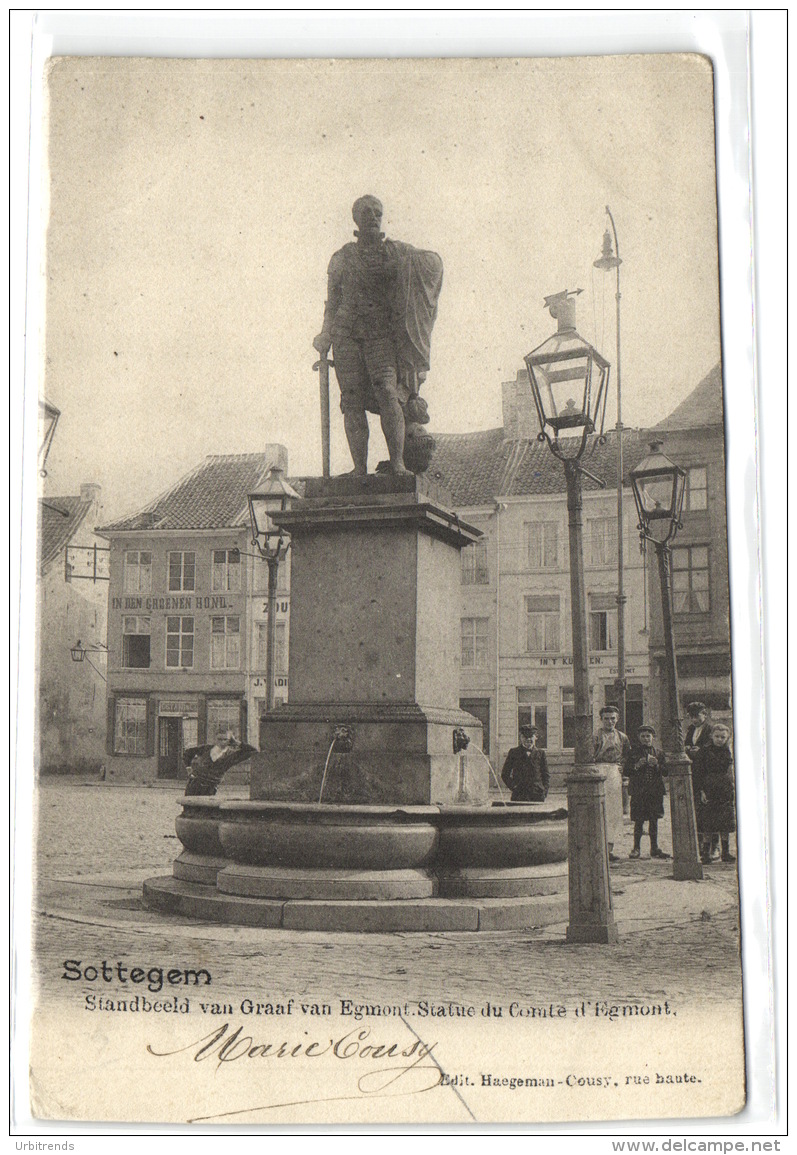 1 Postkaart Zottegem Statue Egmont Belmix7219 - Zottegem