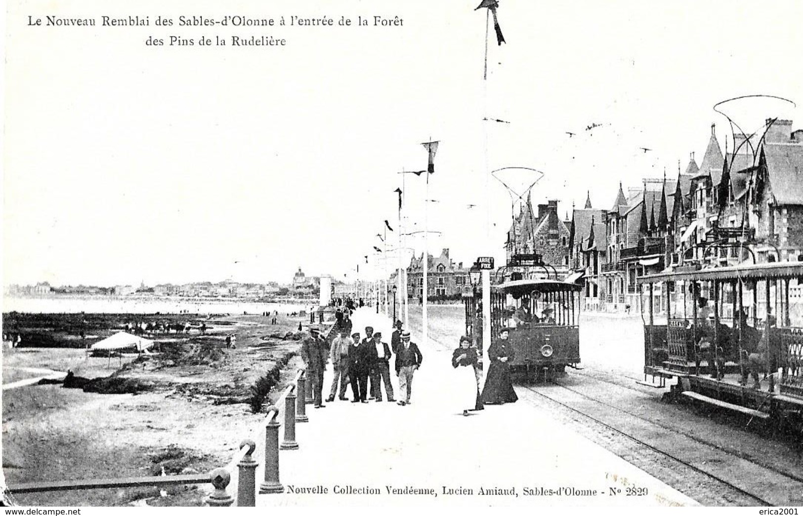 Sables D'Olonne. Les Tramways Sur Le Nouveau Remblai à L'entrée De La Foret Des Pins De La Rudelière. - Sables D'Olonne