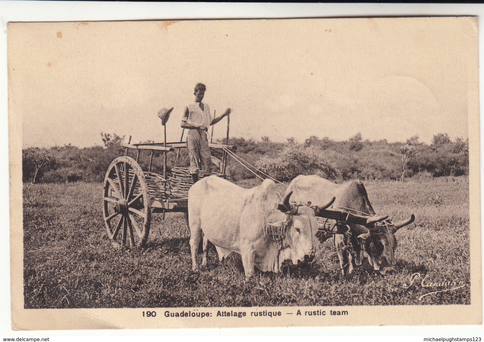 Guadeloupe / Postcards - Altri & Non Classificati