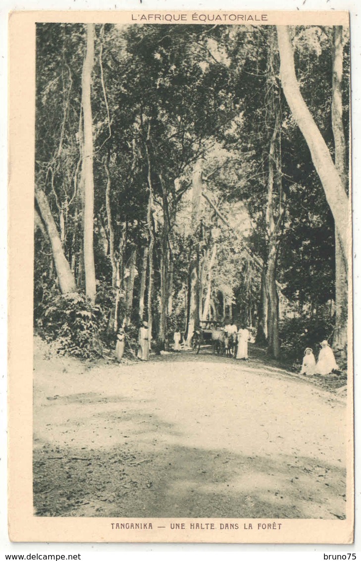 TANGANIKA - Une Halte Dans La Forêt - Tanzania