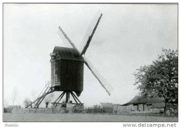 NIEL (Prov. Antwerpen) - Molen/moulin - Mooie Prentkaart Van De Verdwenen Houten Koekoekmolen (omstreeks 1920) - Niel