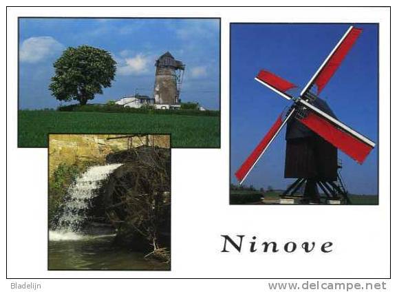 Denderwindeke, Appelterre, Meerbeke (O.Vl.) - Molen/moulin - Drie Molens Van GROOT NINOVE In Beeld (omstreeks 1995) - Ninove