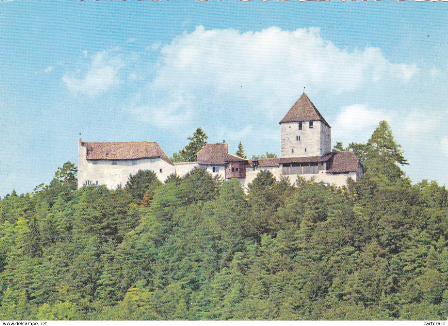 SUISSE,HELVETIA,SWISS,SWITZERLAND,SVIZZERA,SCHWEIZ,SCHAFFHOUSE,CHATEAU HOHENKLIGEN - Schaffhouse