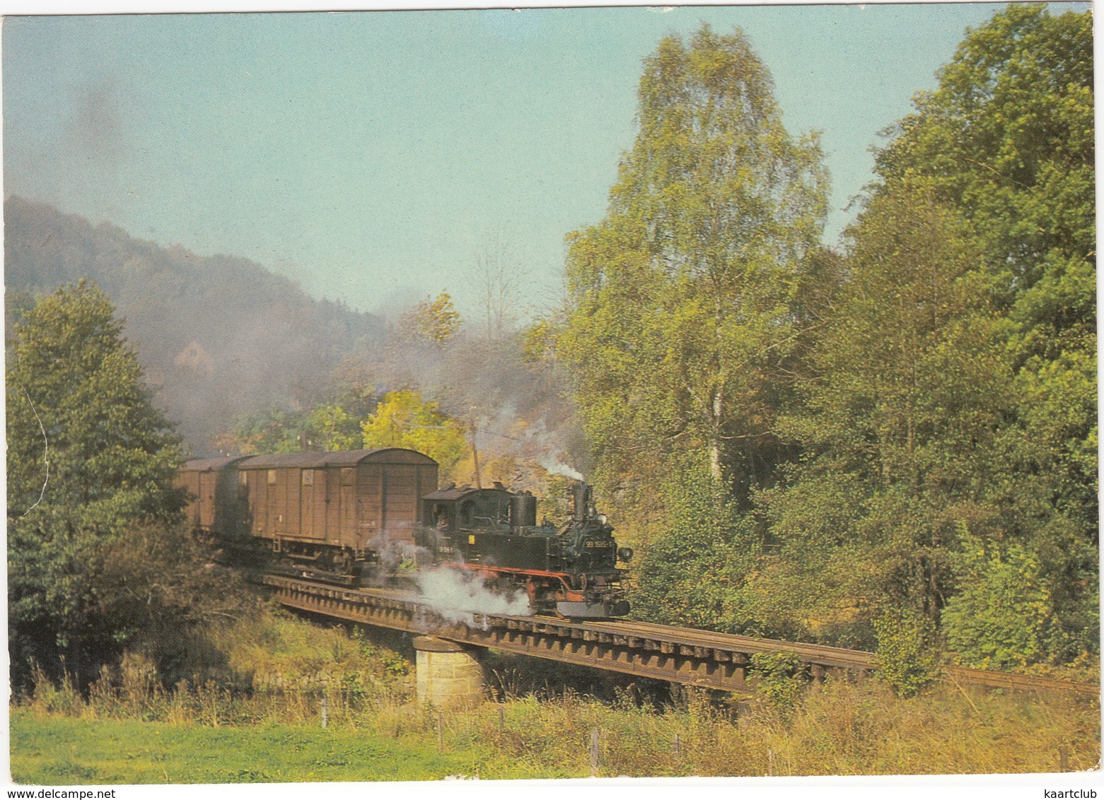 Schmalspurbahn Wolkenstein - Jönstadt) - Güterzug Mit Lokomotive 99 1585-1 Im Preßnitztal Bei Streckewalde - DDR - Treinen