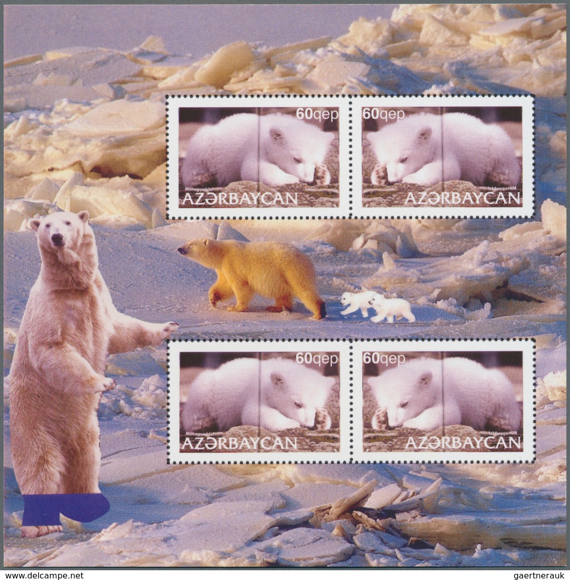 29655 Thematik: Tiere-Bären / animals-bears: 2007, Azerbaydjan. Very nice lot, featuring "KNUT - THE FAMOU