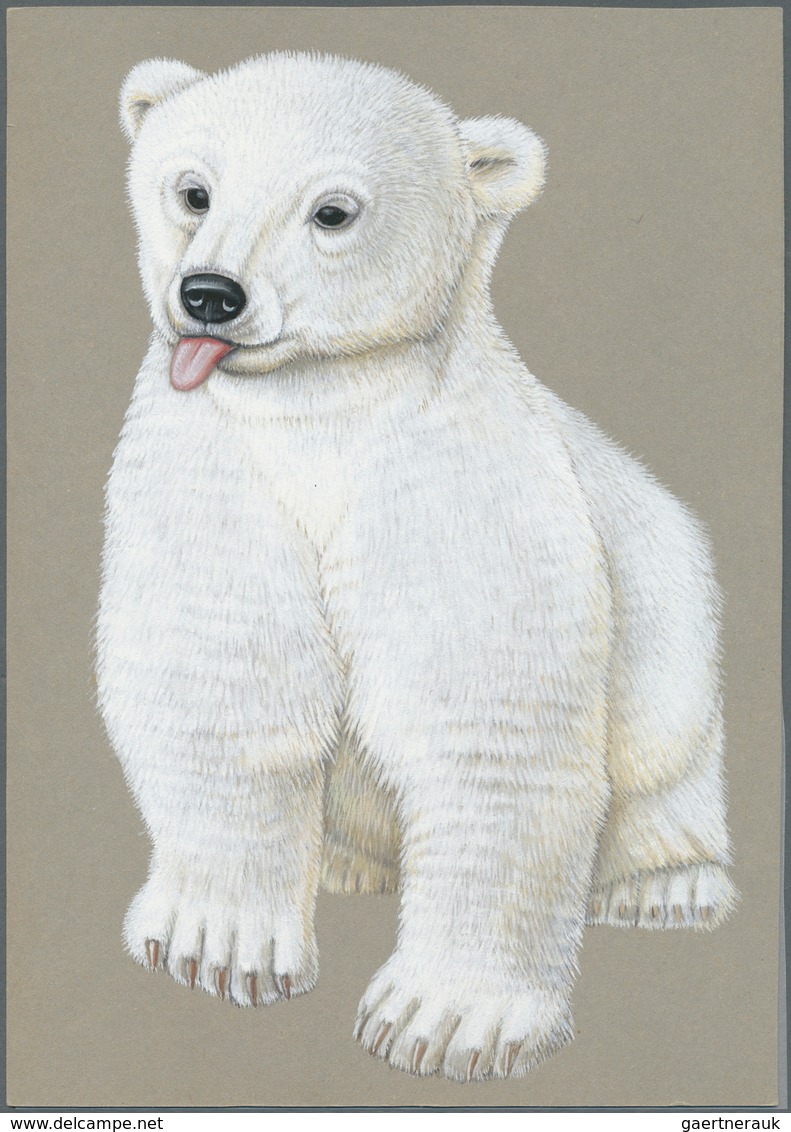 29655 Thematik: Tiere-Bären / animals-bears: 2007, Azerbaydjan. Very nice lot, featuring "KNUT - THE FAMOU