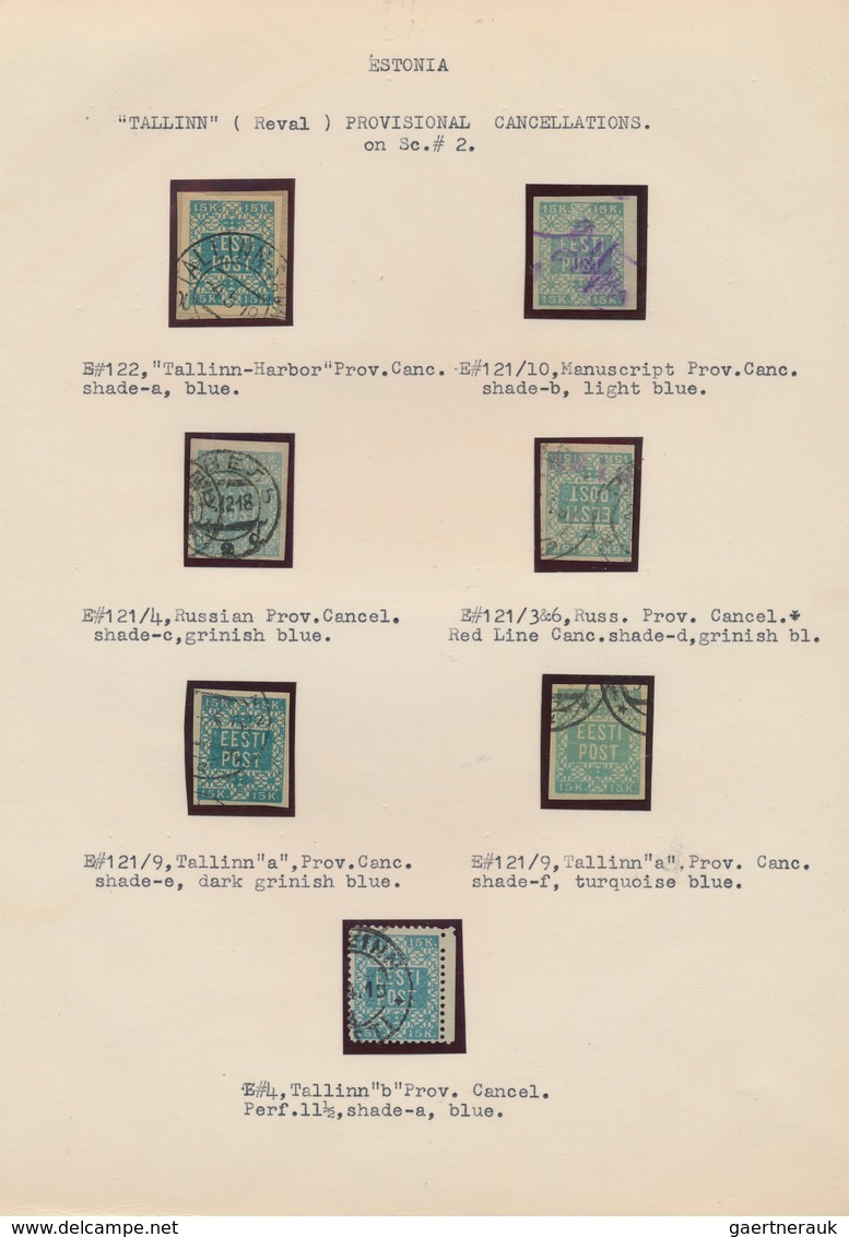 29676 Estland: 1918/1920, Specialised Collection Of Early Issues, Neatly Arranged On Written Up Pages, Com - Estland